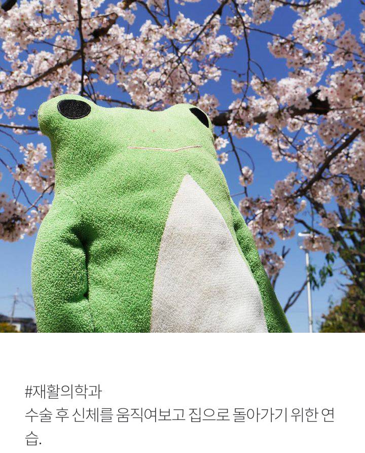 인형을 위한 종합병원 | 인스티즈