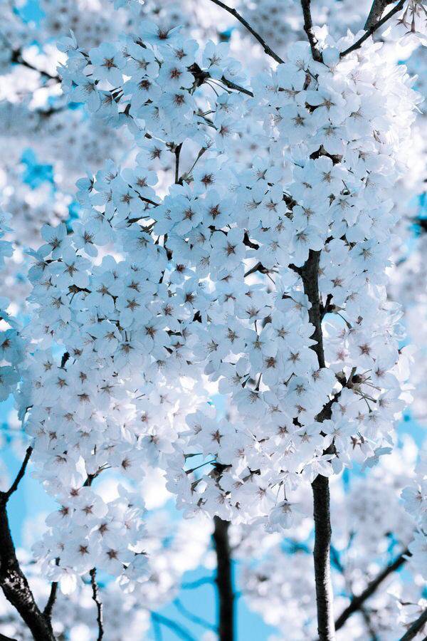 가장 좋아하는 계절은? | 인스티즈