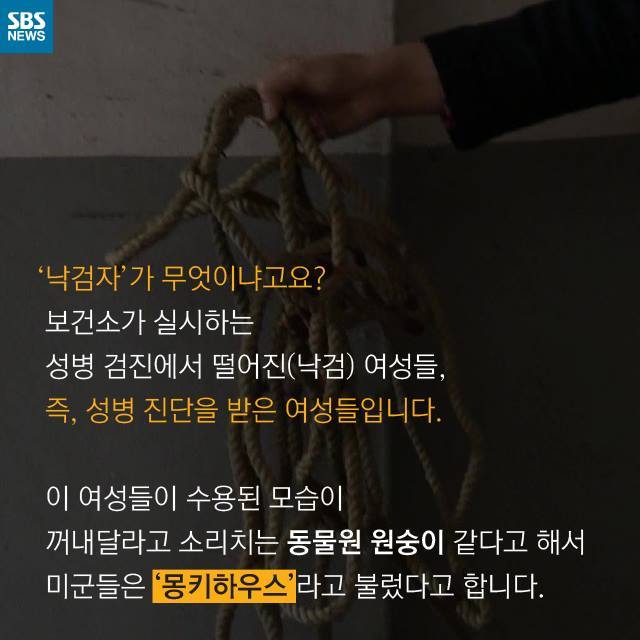  우리는 원숭이가 아닙니다 | 인스티즈