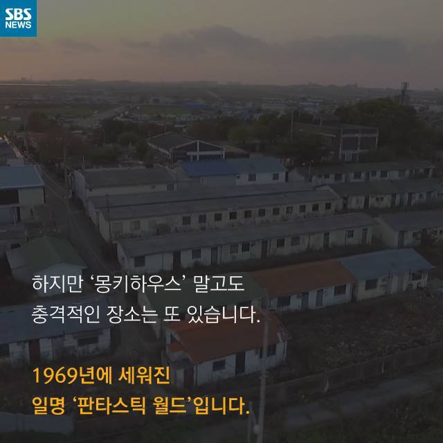  우리는 원숭이가 아닙니다 | 인스티즈