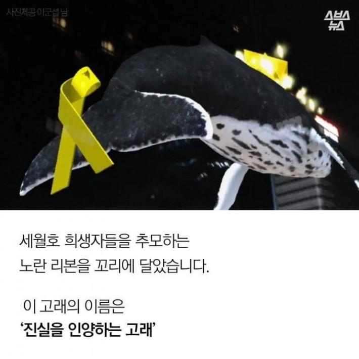 광화문에 날아오른 고래 한 마리... | 인스티즈