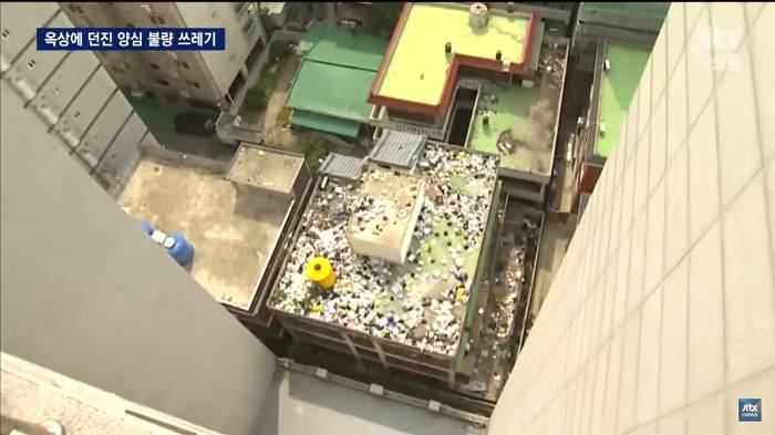 개나 줘버린 시민의식 | 인스티즈