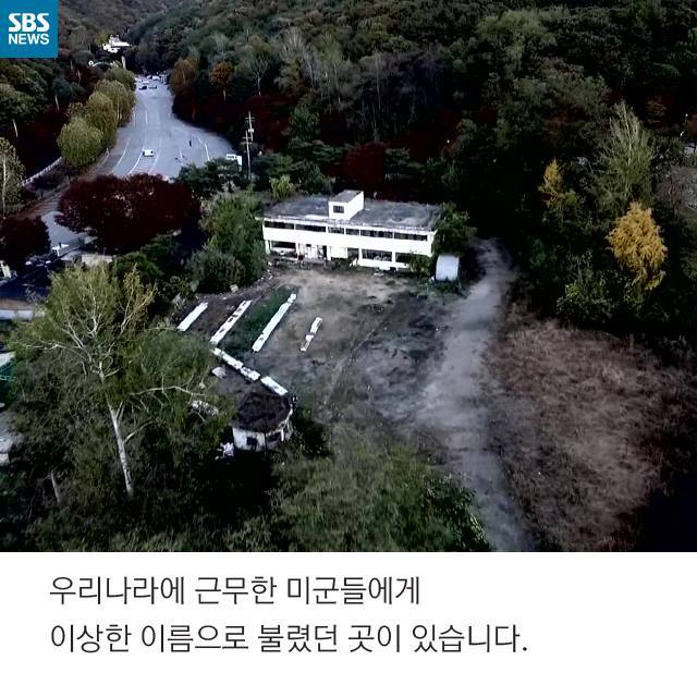  우리는 원숭이가 아닙니다 | 인스티즈