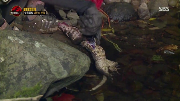 도마뱀 가죽 벗기는 여자 아이돌.jpg | 인스티즈