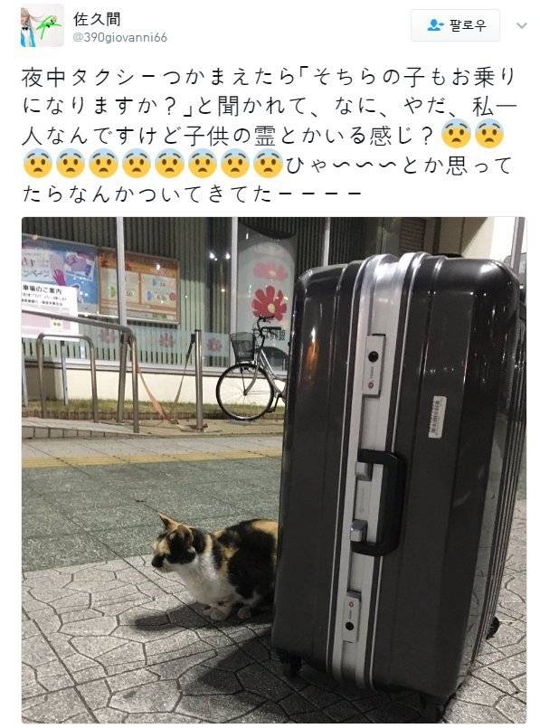 [일본] 한밤중 택시를 타려다.... | 인스티즈