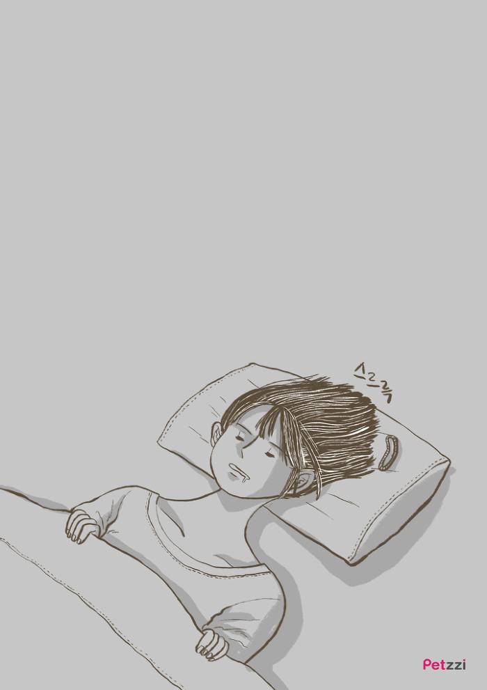 이해할 수 없는 고양이들의 취향.jpg | 인스티즈