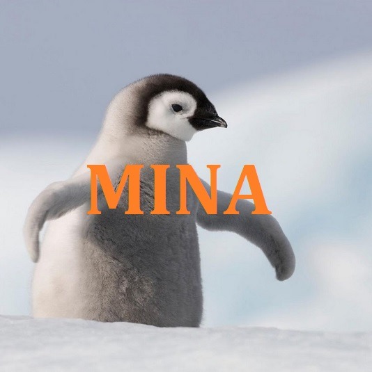 트와이스 지효가 말하는 멤버별 닮은 동물.jpg | 인스티즈