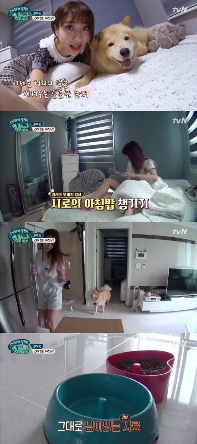 [대화가필요한개냥] 나인뮤지스 경리와 사랑스러운 반려견 시로.jpg | 인스티즈