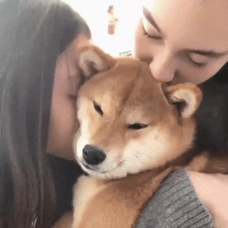 하지마라 | 인스티즈