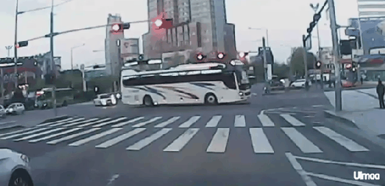 꼬리물기의 최후 | 인스티즈