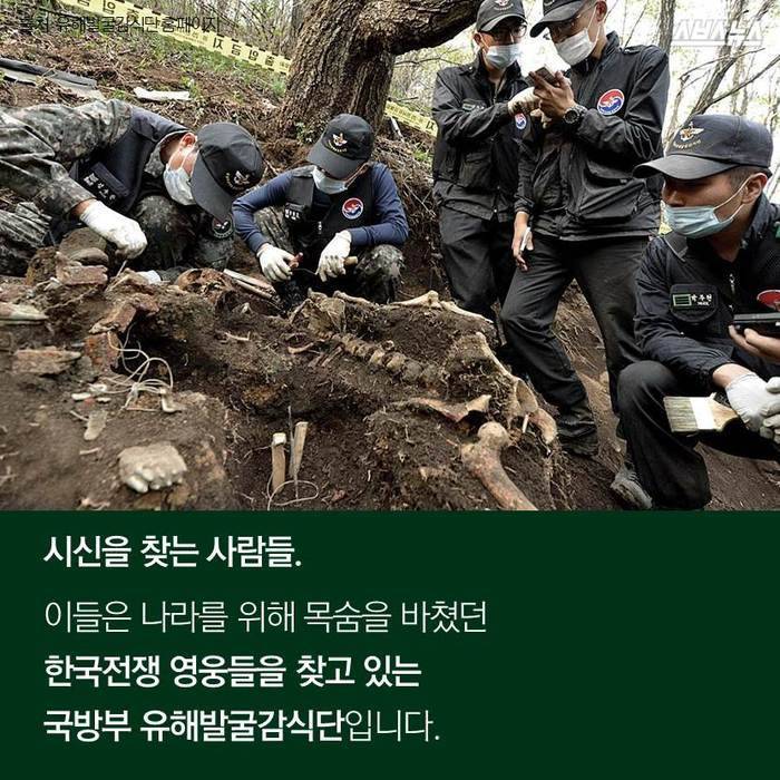 시신을 찾는 사람들 | 인스티즈