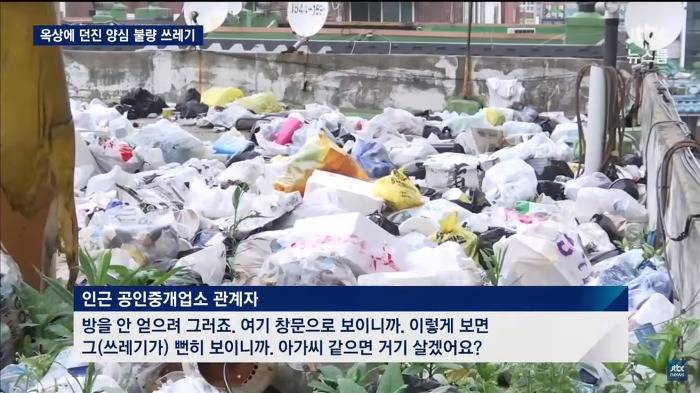 개나 줘버린 시민의식 | 인스티즈