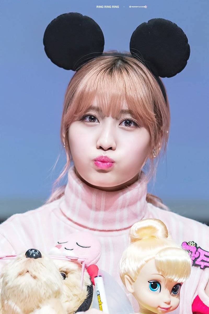 나연 모모 | 인스티즈