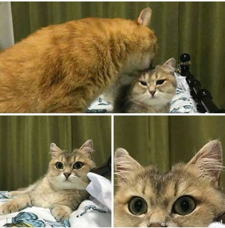 뜻밖의 두발검사 | 인스티즈