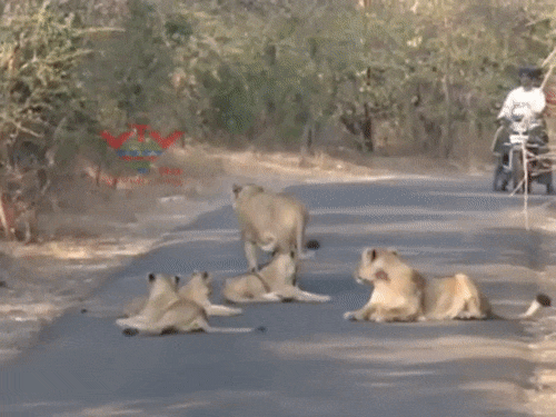 이 사람이 지각한 이유.gif | 인스티즈