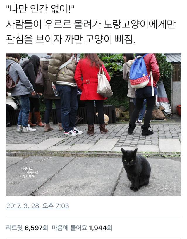 나만 인간 없어 | 인스티즈