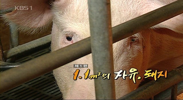 수요일 밤 10시면 꼭 보던 프로그램.jpg | 인스티즈