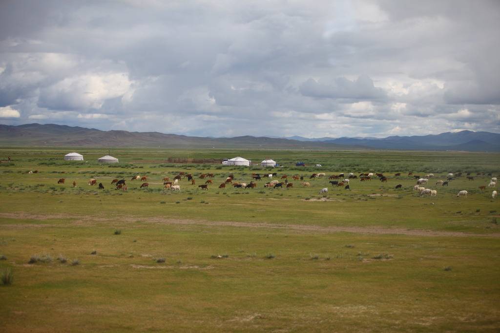 몽골의 광활한 초원 | 인스티즈