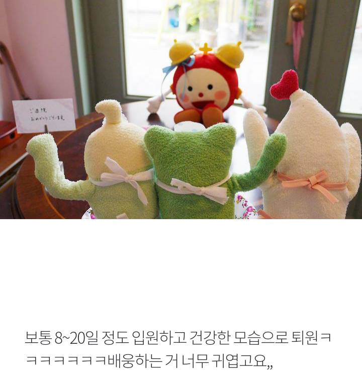 인형을 위한 종합병원 | 인스티즈