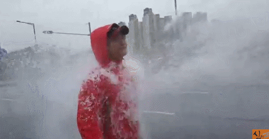 일베충들이 선동하고 다니는 실험.gif | 인스티즈