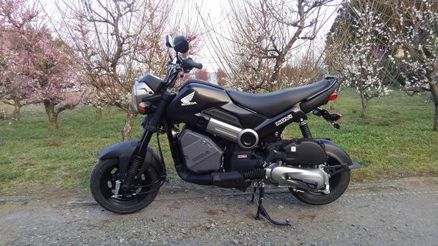 혼다 스쿠터 나비110.jpg | 인스티즈