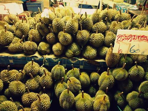  과일의 왕이라고 불리는 과일.jpg | 인스티즈