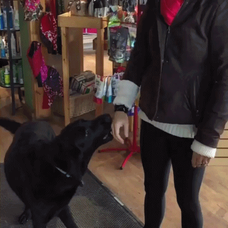 주인아~ 잠깐 이리 오셈.. | 인스티즈