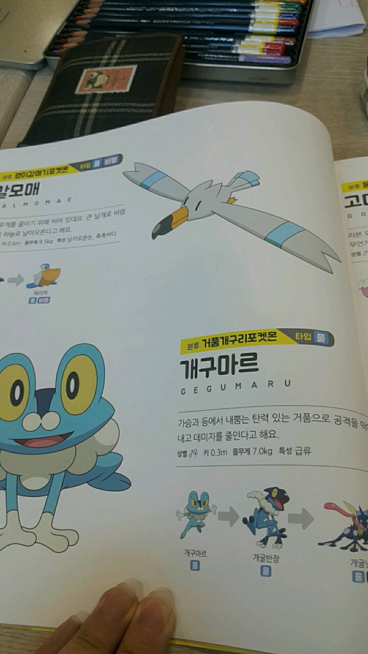 포켓몬스터 공식 컬러링북 - 피카츄 너로 정했다 | 인스티즈