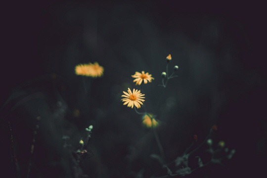  너에게 표현하고 싶다 | 인스티즈