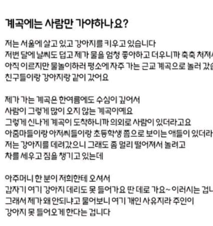 강아지는 계곡에 들어가면 안되나요? | 인스티즈
