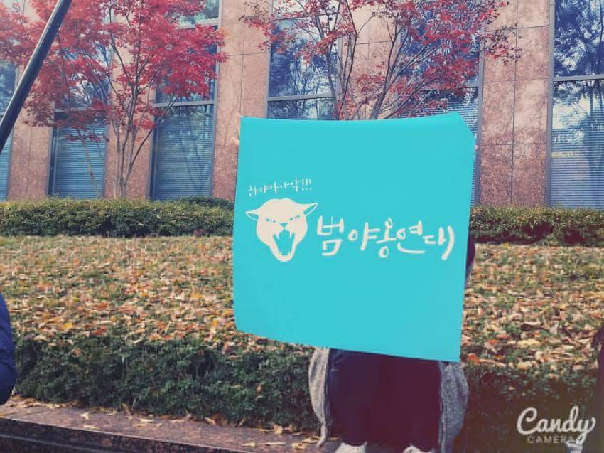 광화문에 모인 각종 단체들 깃발.flag | 인스티즈