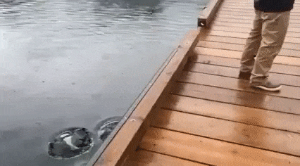 뭐지 지진인가 | 인스티즈