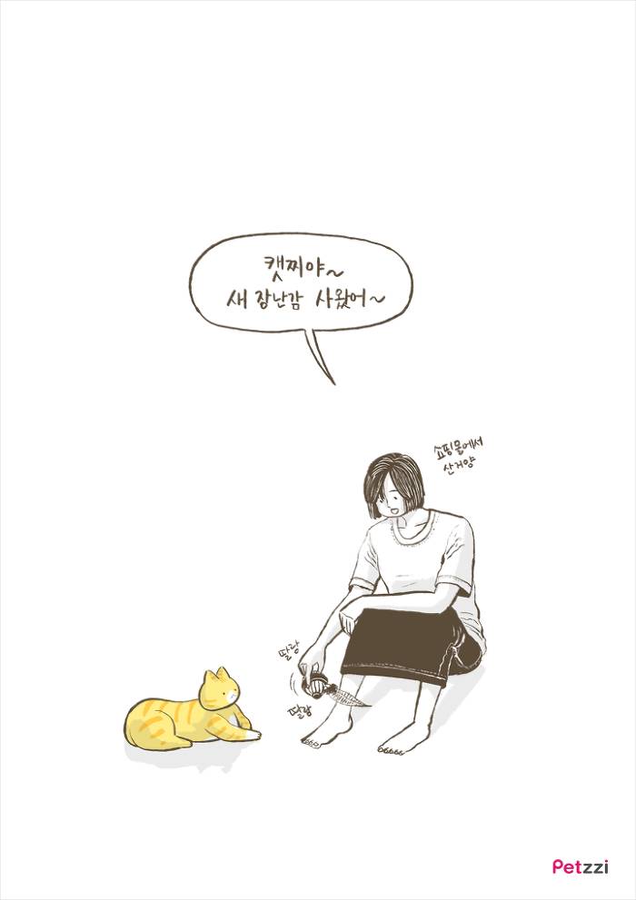 이해할 수 없는 고양이들의 취향.jpg | 인스티즈