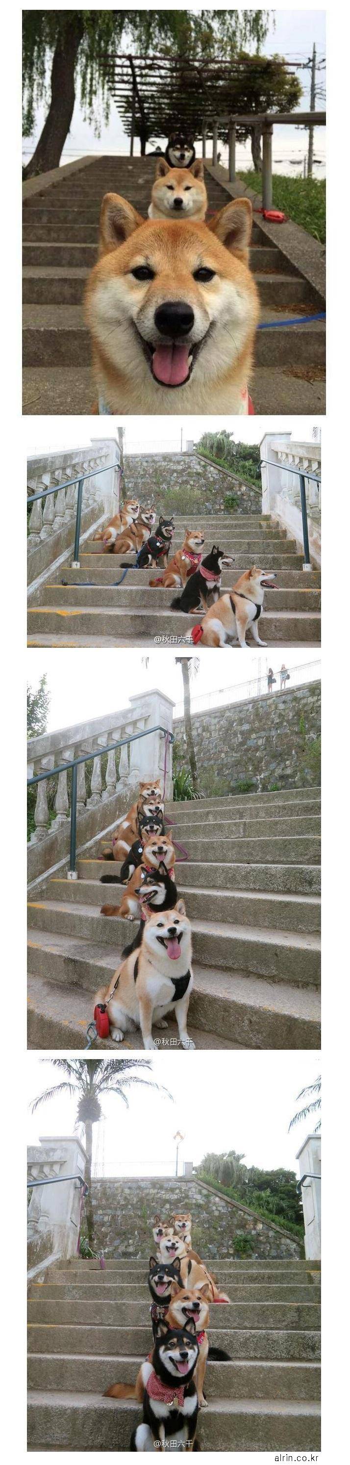 계단에서의 다단개 | 인스티즈