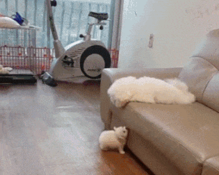 엄마의 조기교육 | 인스티즈