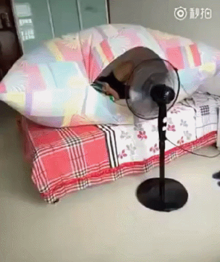 집에서 캠핑기분 내는 법 | 인스티즈