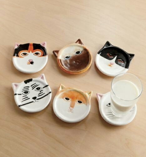 귀여운 고양이 제품들 | 인스티즈