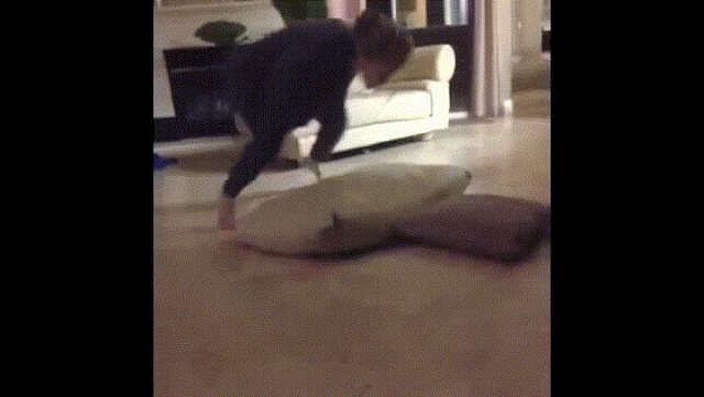 유연한사람만 되는 춤 | 인스티즈