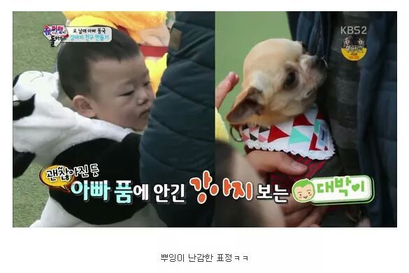 질투쟁이 대박이 | 인스티즈