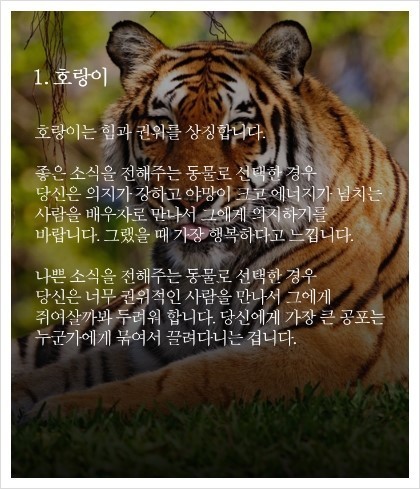 동물이 건네주는 편지로 알아보는 심리 테스트 | 인스티즈