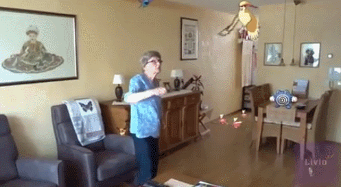 포켓몬NO!! | 인스티즈