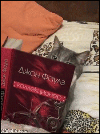 공부 좀 해 이 돌야.gif | 인스티즈