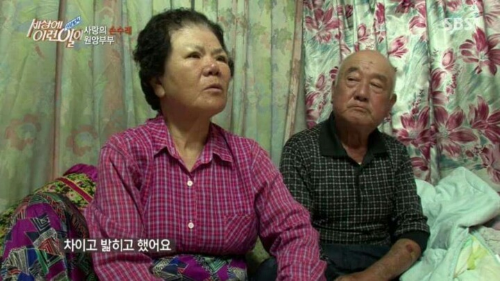 학교폭력 사라져야하는 이유 | 인스티즈