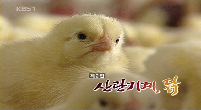 수요일 밤 10시면 꼭 보던 프로그램.jpg | 인스티즈