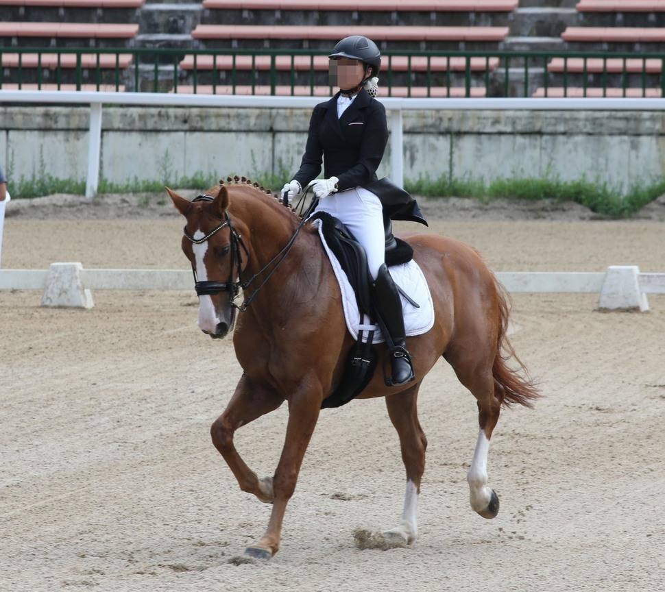 사진으로 보는 박근혜 탄핵 총정리 | 인스티즈
