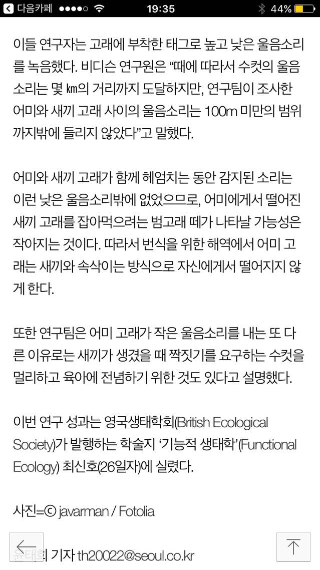 어미 고래는 포식자 피하려 새끼와 속삭여 (연구) | 인스티즈