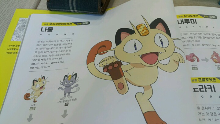 포켓몬스터 공식 컬러링북 - 피카츄 너로 정했다 | 인스티즈