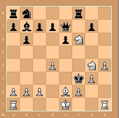 체스 역사상 최고의 신의 한수 | 인스티즈