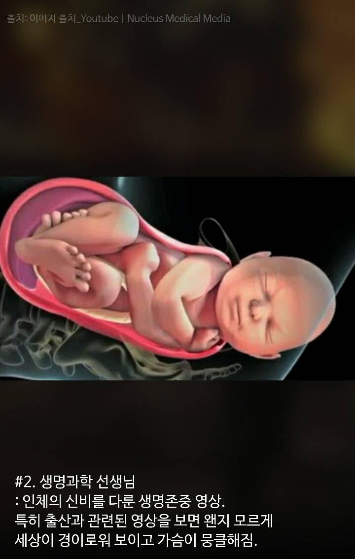 과목별 선생님들이 틀어주는 영상 유형 10가지 | 인스티즈