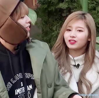 트와이스 애완 멤버.gif | 인스티즈